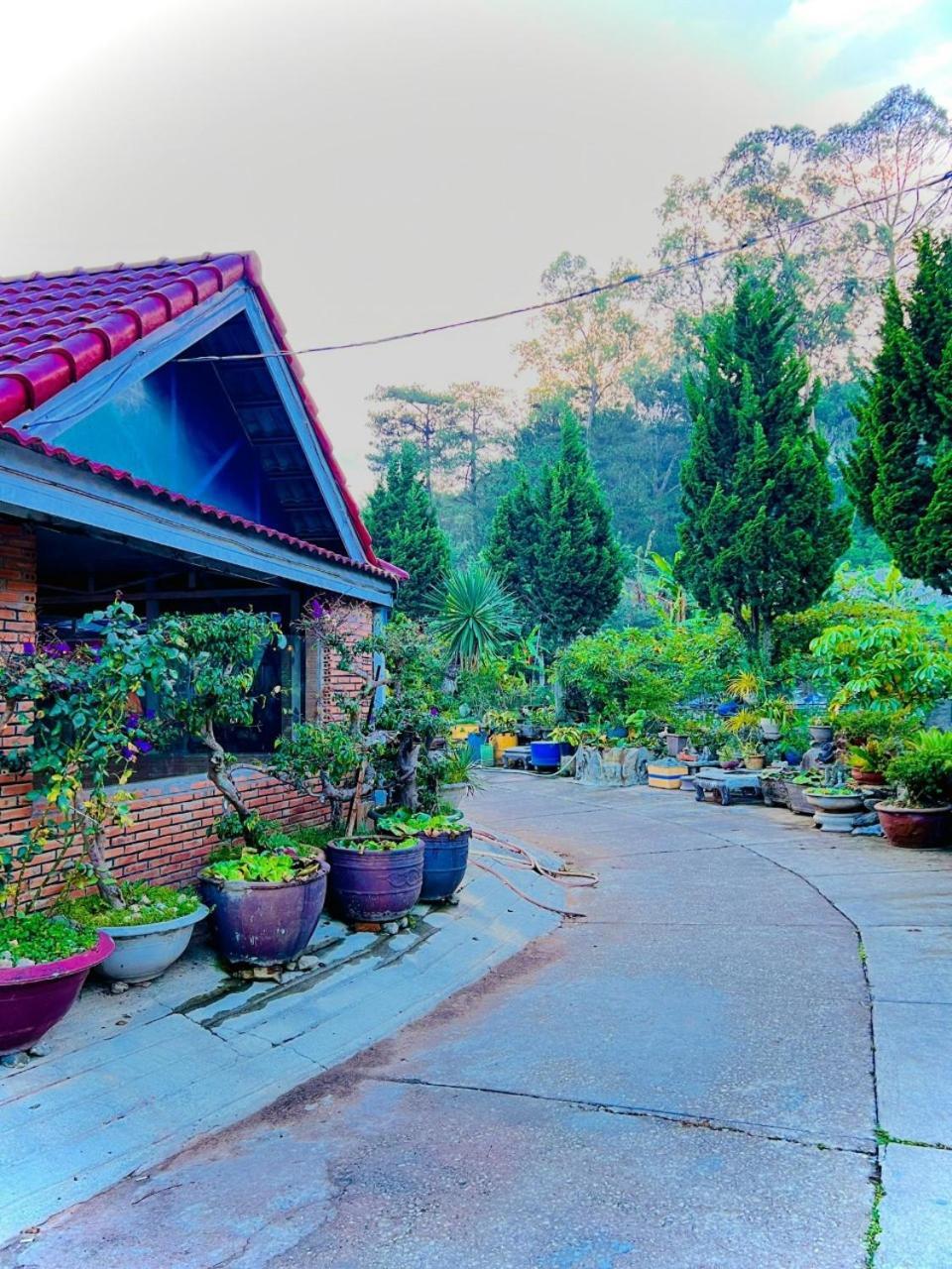 Hoa Chuong - Villa - Homestay Да Лат Екстериор снимка